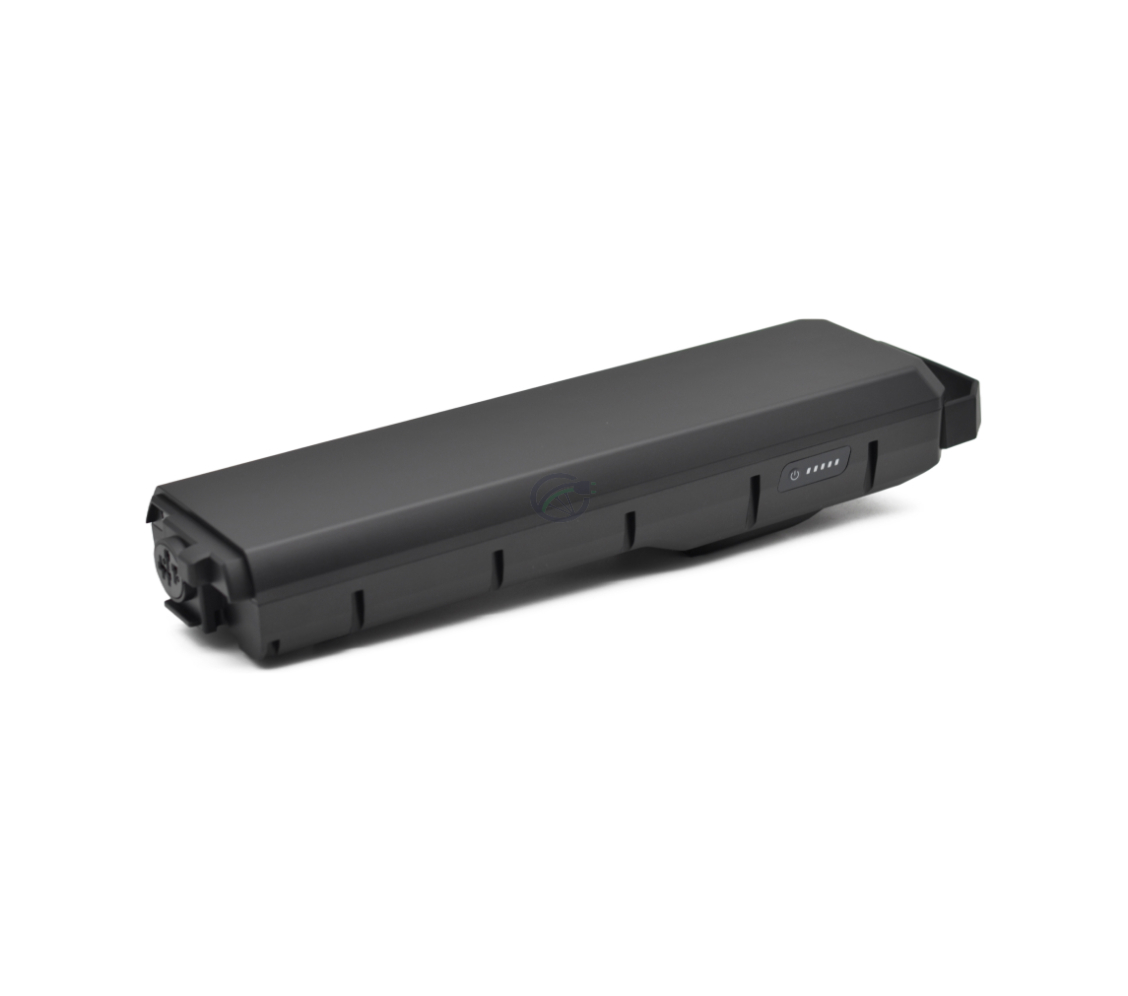 Schuin zijaanzicht van de Bosch Powerpack 700 Performance/Active bagagedrager E-Bike Vision. De zijkant van de batterij met de batterijindicator is goed te zien.