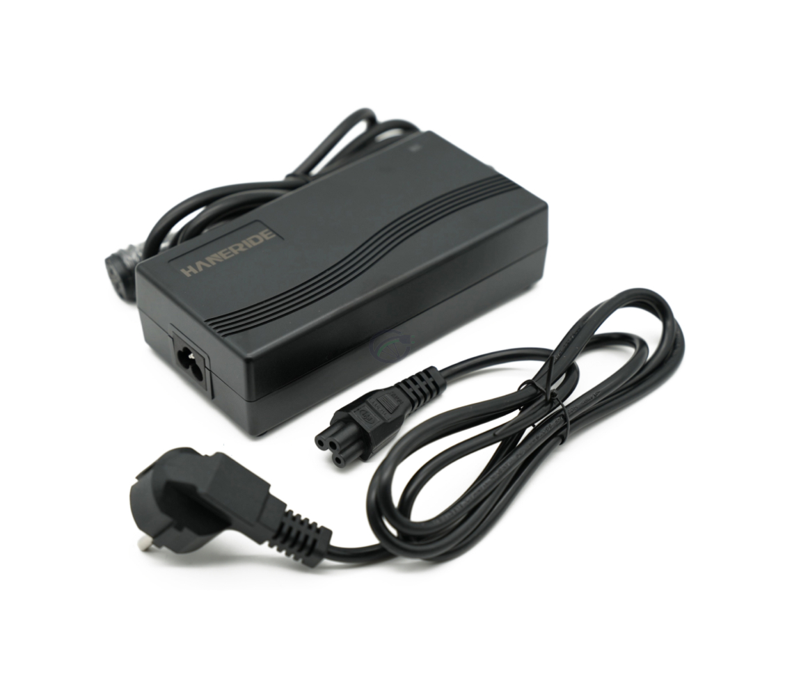 Driekwartaanzicht van de Gazelle Impulse 42V 3A Compatible lader met Rosenberger aansluiting met adapter.