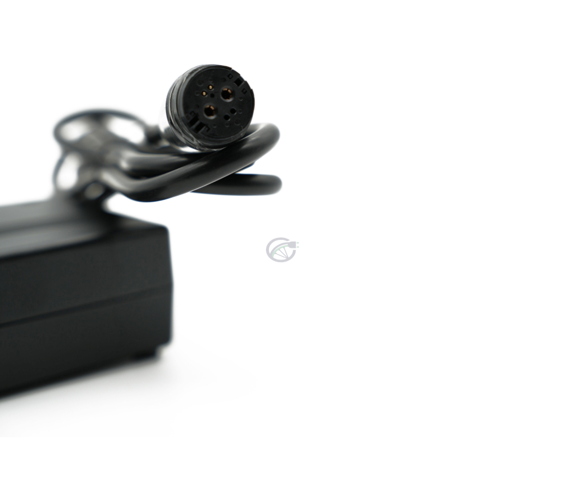 De Rosenberger aansluiting van de Gazelle Impulse 42V 3A Compatible lader.