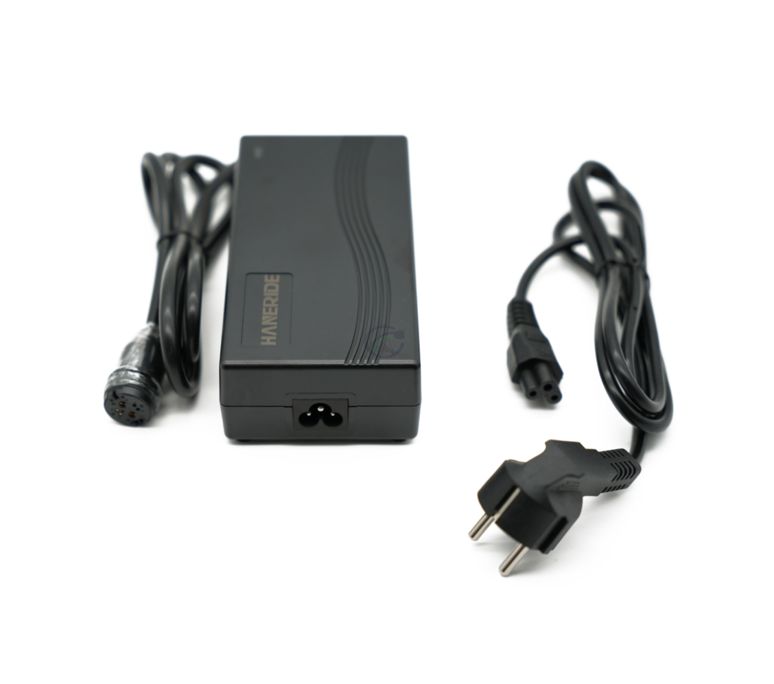 Vooraanzicht van de Gazelle Impulse 42V 3A Compatible lader met Rosenberger aansluiting vanuit een hogere hoek. De adapter ligt naast de lader.